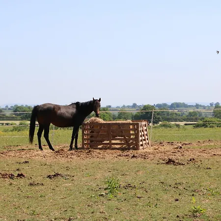 The Old House Ferienhaus *
